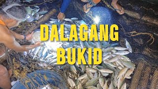 Kahit madilim pa na sa laot kami.Dalagang bukid, dogso at danggit ang pumasok sa lambaklad.