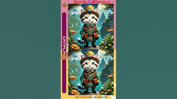 FIND Exploration & cat/Spot The Difference