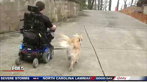 Canine Assistant enhances life of man with cerebra...