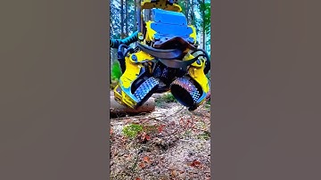 Epic Tree Cutting! Watch a Machine Fell & Cut Trees in Seconds! 🌲⚡ #Forestry #Shorts