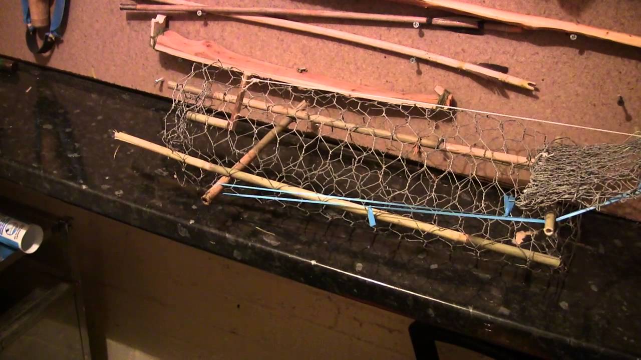 Trapping Wire Cage Trap YouTube