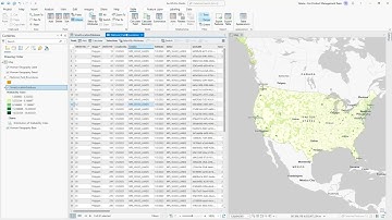 Table Appearance Options in ArcGIS Pro