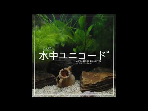 Ohm-N-I — カイヤン〜 : 水中ユニコード˚ [ NEON TETRA REMASTER ]