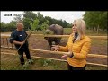 Good news for zoos in England. Holly reports from Chester Zoo