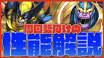 パズドラオーガシステム