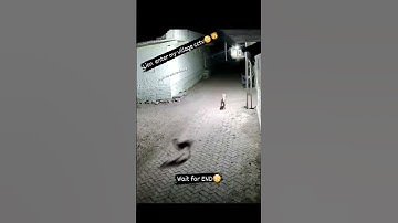 Thumbnail of lion enter my village #lion #shortsfeed