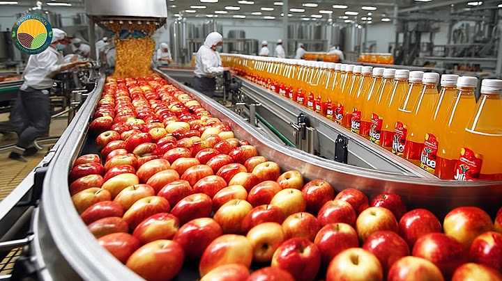 How Apple Juice Is Made in Factory – Modern Fruit Juice Production Technology