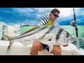 Once in a lifetime catch giant rooster fish catch clean cook