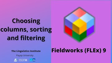 Fieldworks (FLEx) 9 Sorting Filtering and column options