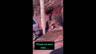 ТЦК позор СТРАНЫ #тцк #всу #дтп #поліція #зрадник #prank #зсу