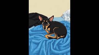 My Dog Hopper's worst nightmare came to life #animation #pets #shorts