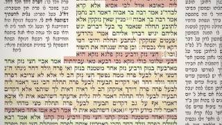 מסכת בבא קמא דף מ"ו 46