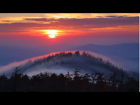 Vídeo: Com Relaxar-se A Amèrica