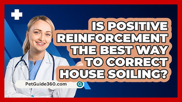 Is Positive Reinforcement The Best Way To Correct House Soiling? - PetGuide360.com
