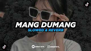 DJ Mang Dumang - Slow \u0026 Reverb 🎧