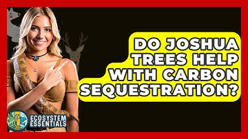 Do Joshua Trees Help With Carbon Sequestration? - Ecosystem Essentials