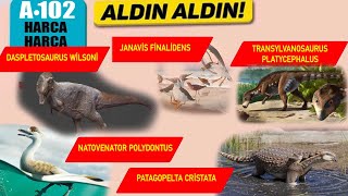 Haftanın Dinozorları 5. Hafta. Verdemner