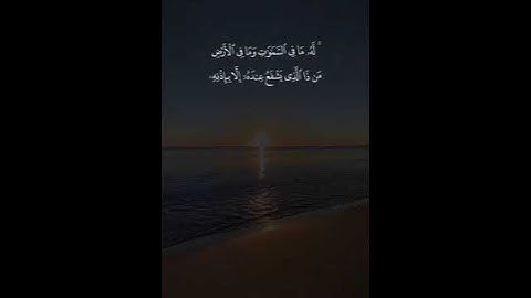 ايه الكرسى بعد كل صلاه تلاوة هادئة تريح الاعصاب قران كريم حالات واتس راحه نفسيه