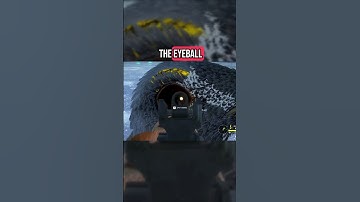 What did I do!??!? #cotw #thehunter #grouse #thehuntercallofthewild #thehuntercotw #funny #gaming