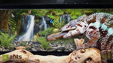 The Predators in My Ultimate Ecosystem Vivarium