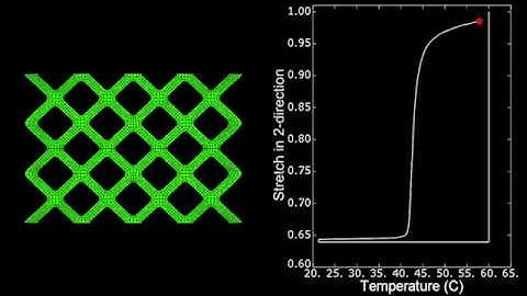 Shape Memory Polymer
