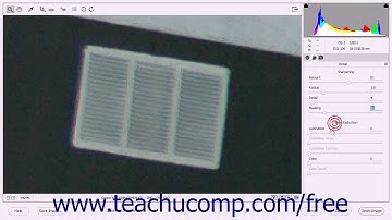 Photoshop Elements 15 Tutorial Making Image Detail Adjustments Adobe Training