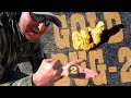 I DID IT! - Metal Detecting GOLD NUGGETS - Gold Bug 2