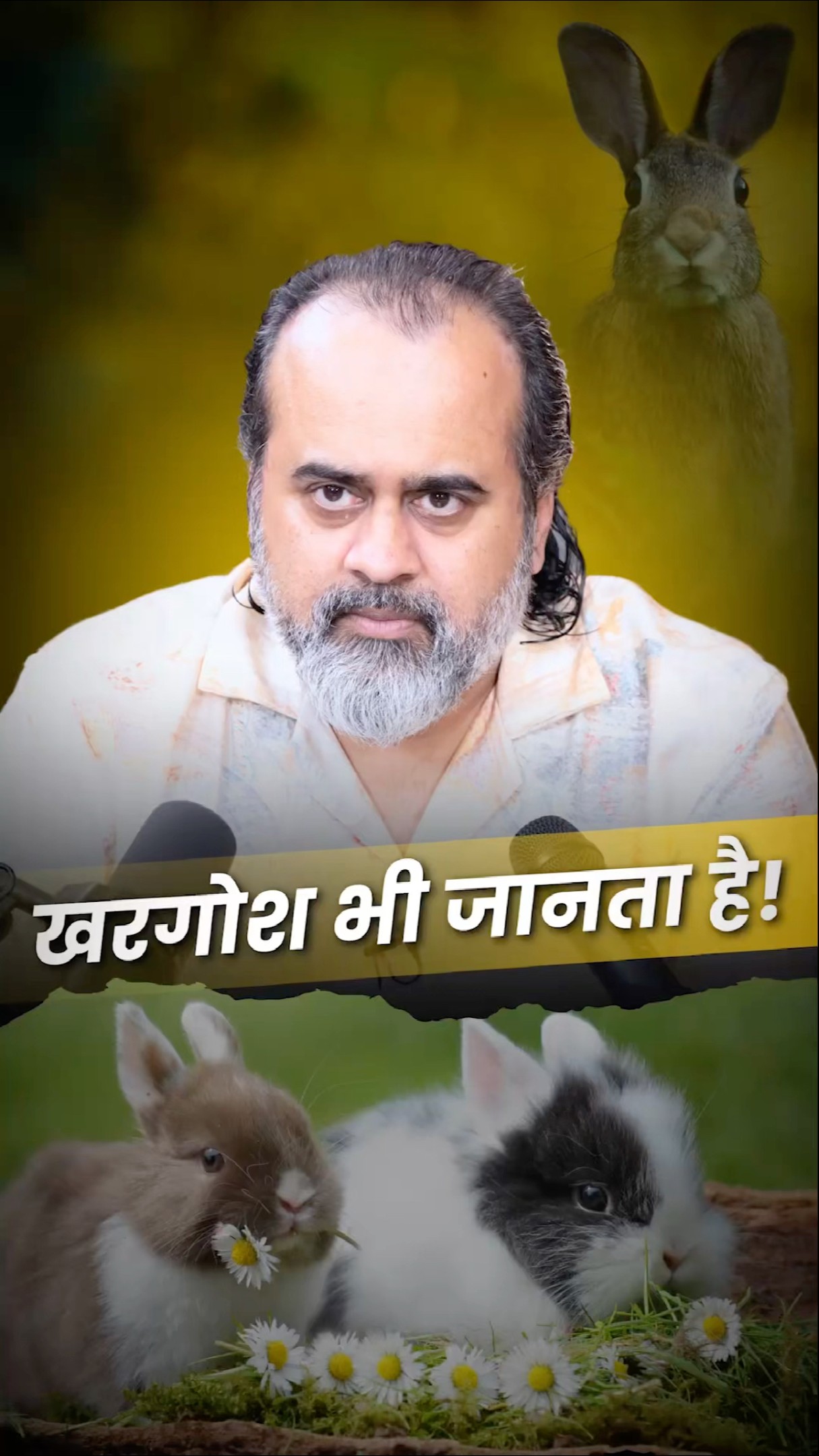 खरगोश भी जानता है! || आचार्य प्रशांत