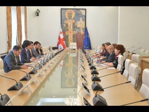 ირაკლი კობახიძის შეხვედრა ეროვნული უმცირესობის საკითხებში ეუთოს უმაღლეს კომისართან
