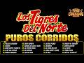PUROS CORRIDOS PESADOS DE TIGRES DEL NORTE ~ LOS TIGRES DEL NORTE CORRIDOS PROHIBIDOS ALBUM COMPLETO