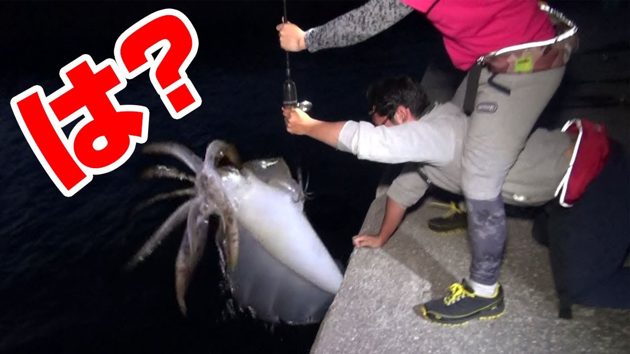 通称 デビル と呼ばれる巨大イカが釣れてしまった Youtube