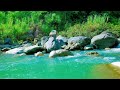 Relaxing Music with Water Sound – River Melodies for Peaceful Sleep