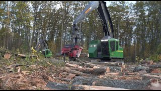 Three Guys & Three Machines | John Deere Precision Forestry