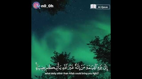 القارئ سعد الغامدي