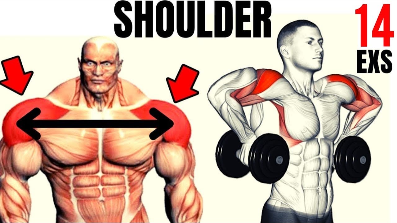 Get 3D Shoulders! Best Shoulder Exercises for Mass - YouTube