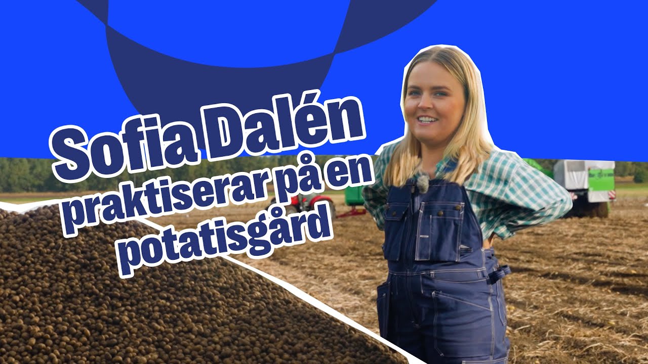 SOFIA DALÉN PRAKTISERAR SOM POTATISODLARE – 1 MILJON CHIPSPÅSAR?!