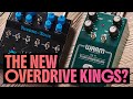 Warm Audio Tube Squealer and Throne of Tone: deep dive and demo