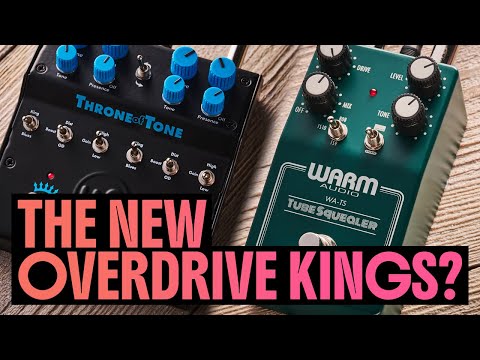 Warm Audio Tube Squealer and Throne of Tone: deep dive and demo