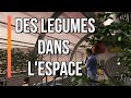 Faire pousser des légumes dans l'espace - Journal de l'espace 28 - Actualité Spatiale - Espace