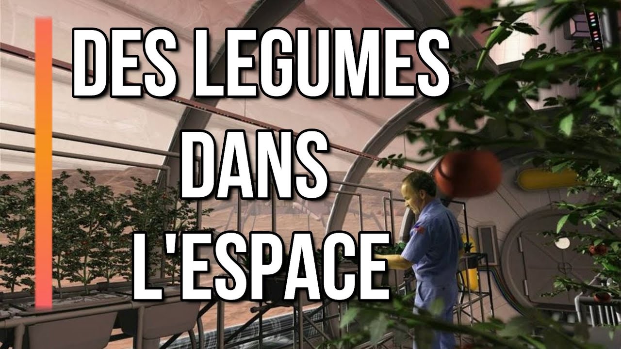 Faire pousser des légumes dans l'espace - Journal de l'espace 28 - Actualité Spatiale - Espace