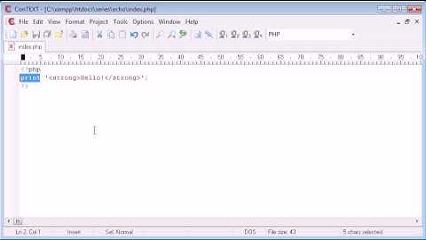 Beginner PHP Tutorial - 10 - print