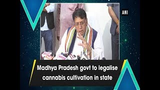 Madhya Pradesh govt to legalise cannabis cultivation in state screenshot 5
