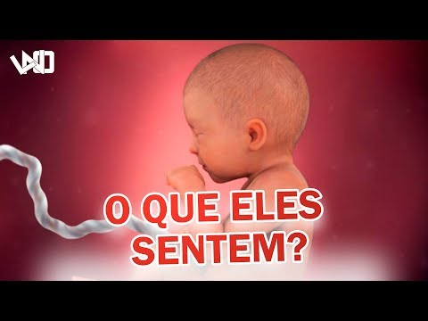 6 Coisas que o bebê SENTE enquanto está DENTRO DA MÃE - LNO TV