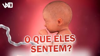 6 Coisas que o bebê SENTE enquanto está DENTRO DA MÃE - LNO TV