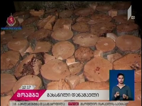 შსს-მ სამცხე-ჯავახეთში ორი თვის განმავლობაში ხე-ბუჩქნარის უკანონოდ გაჩეხვის 161 ფაქტი გამოავლინა