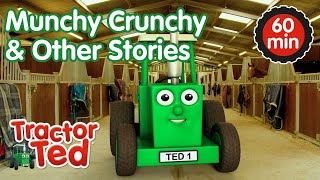 Munchy Crunchy & Other Tractor Ted Stories 🚜 | Tractor Ted Compilation | Tractor Ted Official