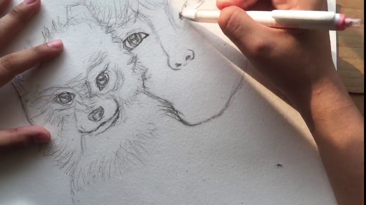 Taehyung and his dog Yeontan  Pencil Drawing + Speed-Drawing — Steemit