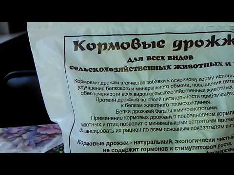 Вопрос: Наросты на лапах у птиц. Что за болезнь, как лечить?