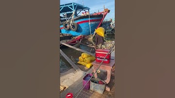 Hết tết rồi mọi người làm việc thoy 😊