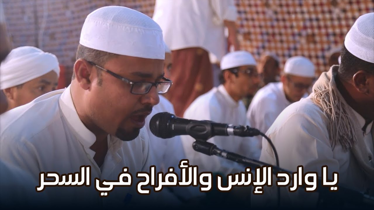 يا وارد الإنس والأفراح في السحر #أفراح #آل_بلفقيه #تريم #تصوير #وسيط_ميديا